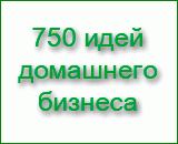 750 идей